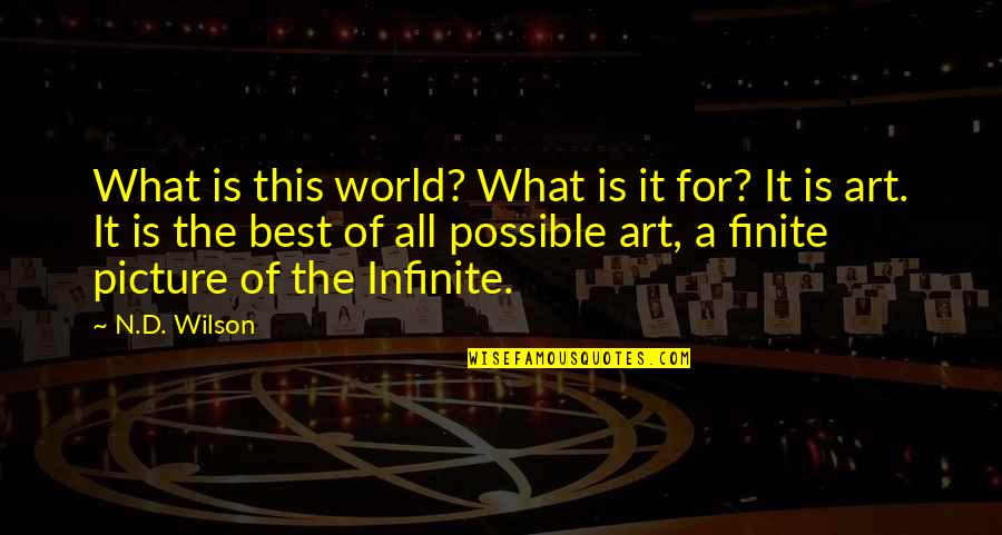 Picture This Quotes By N.D. Wilson: What is this world? What is it for? Picture This Quotes By N.D. Wilson: What is this world? What is it for?
