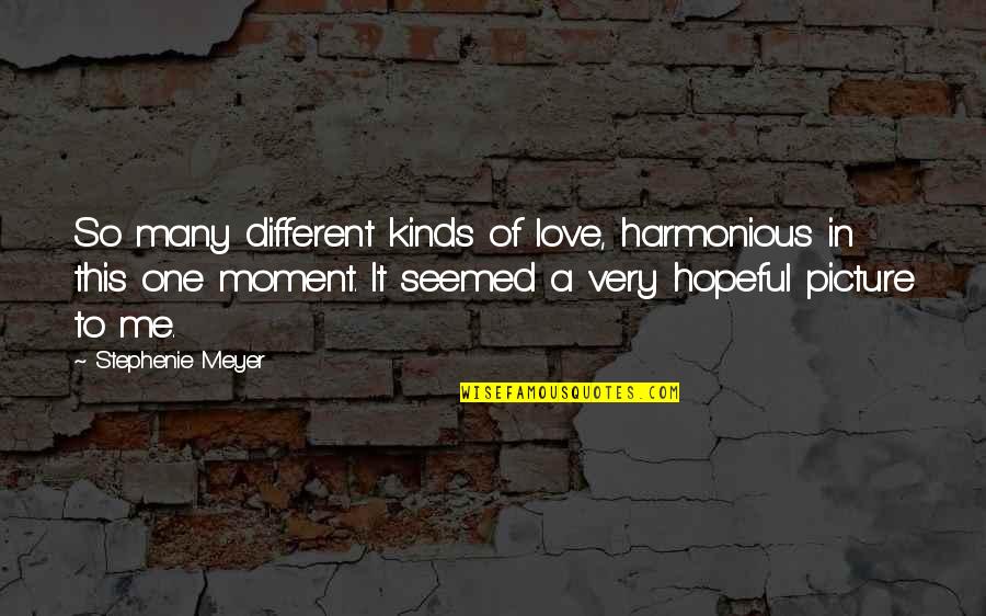 Picture This Quotes By Stephenie Meyer: So many different kinds of love, harmonious in Picture This Quotes By Stephenie Meyer: So many different kinds of love, harmonious in