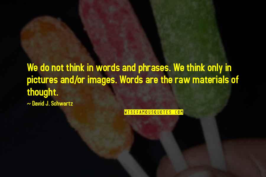 Pictures And Words Quotes By David J. Schwartz: We do not think in words and phrases.