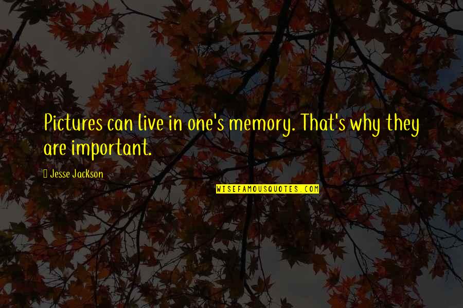 Pictures Are Memories Quotes By Jesse Jackson: Pictures can live in one's memory. That's why