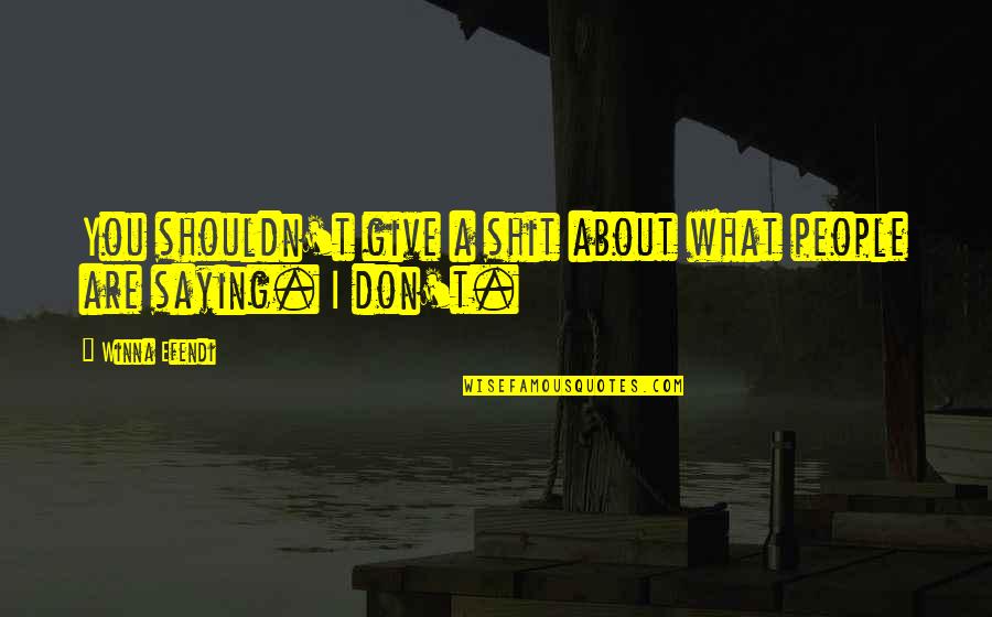 Pictures Capturing Memories Quotes By Winna Efendi: You shouldn't give a shit about what people