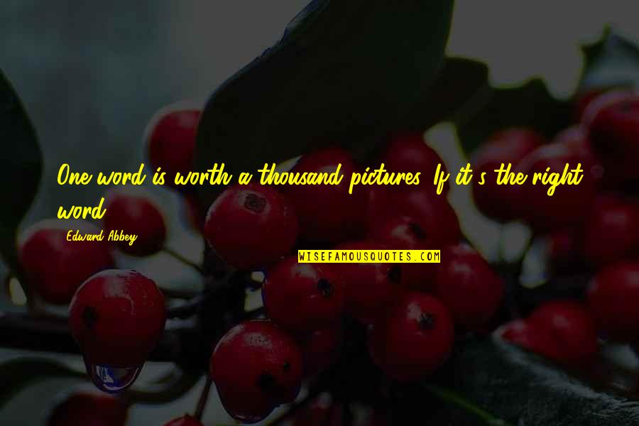 Pictures Is Worth A Thousand Words Quotes By Edward Abbey: One word is worth a thousand pictures. If