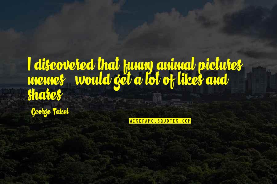 Pictures With Funny Quotes By George Takei: I discovered that funny animal pictures - memes Pictures With Funny Quotes By George Takei: I discovered that funny animal pictures - memes
