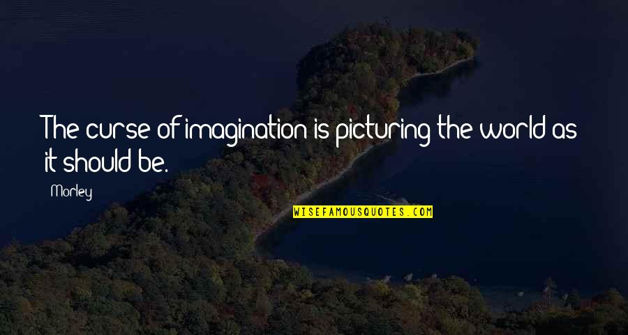 Picturing Quotes By Morley: The curse of imagination is picturing the world