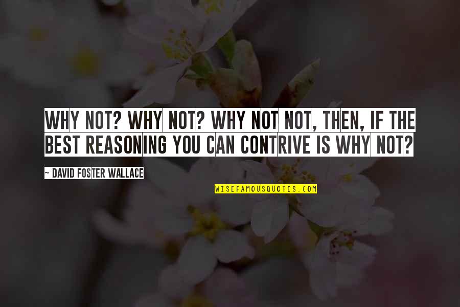 Piculincito Quotes By David Foster Wallace: Why not? Why not? Why not not, then,