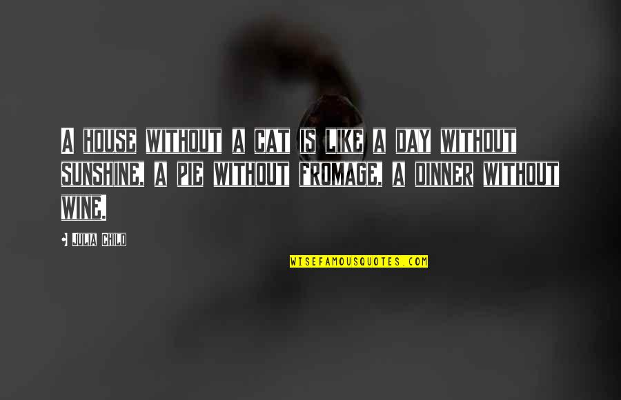 Pie Day Quotes By Julia Child: A house without a cat is like a