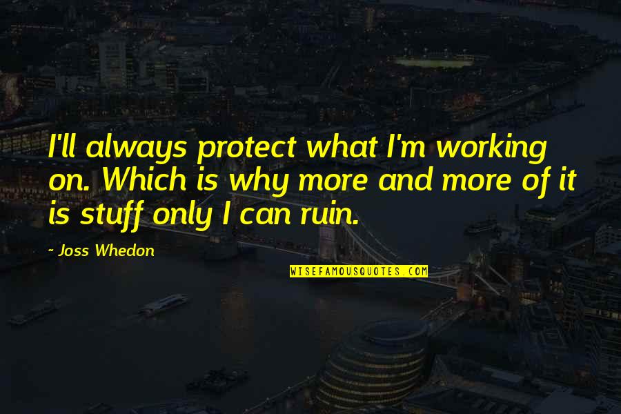 Pie Funny Quotes By Joss Whedon: I'll always protect what I'm working on. Which