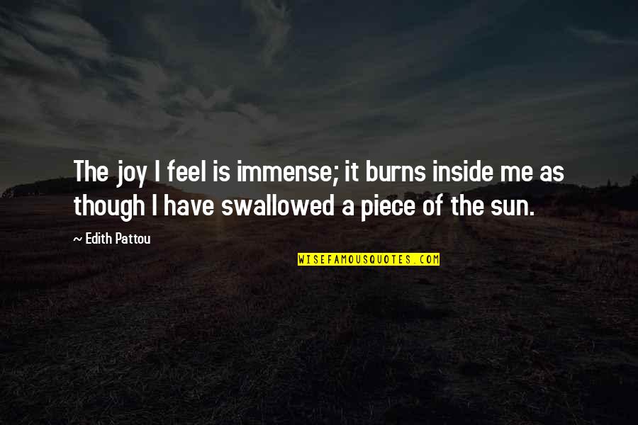 Piece Of Me Quotes By Edith Pattou: The joy I feel is immense; it burns