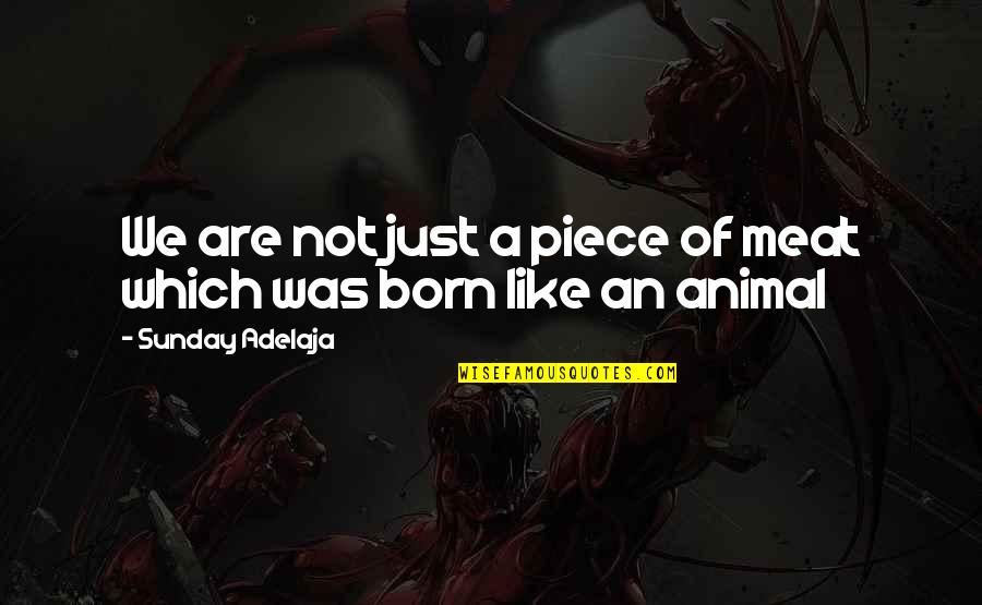 Piece Of Meat Quotes By Sunday Adelaja: We are not just a piece of meat Piece Of Meat Quotes By Sunday Adelaja: We are not just a piece of meat