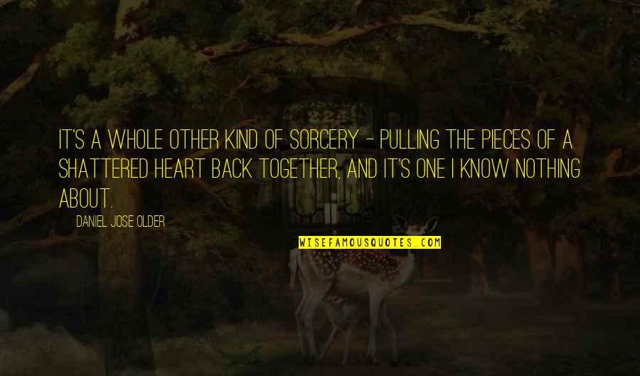 Pieces Of Heart Quotes By Daniel Jose Older: It's a whole other kind of sorcery -