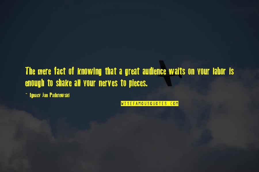 Pieces Quotes By Ignacy Jan Paderewski: The mere fact of knowing that a great