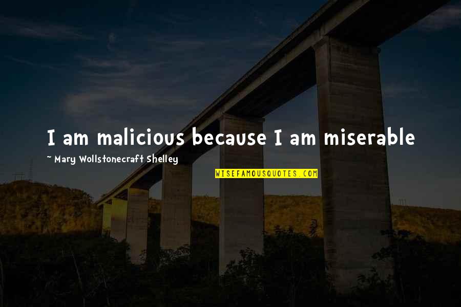 Piege Quotes By Mary Wollstonecraft Shelley: I am malicious because I am miserable