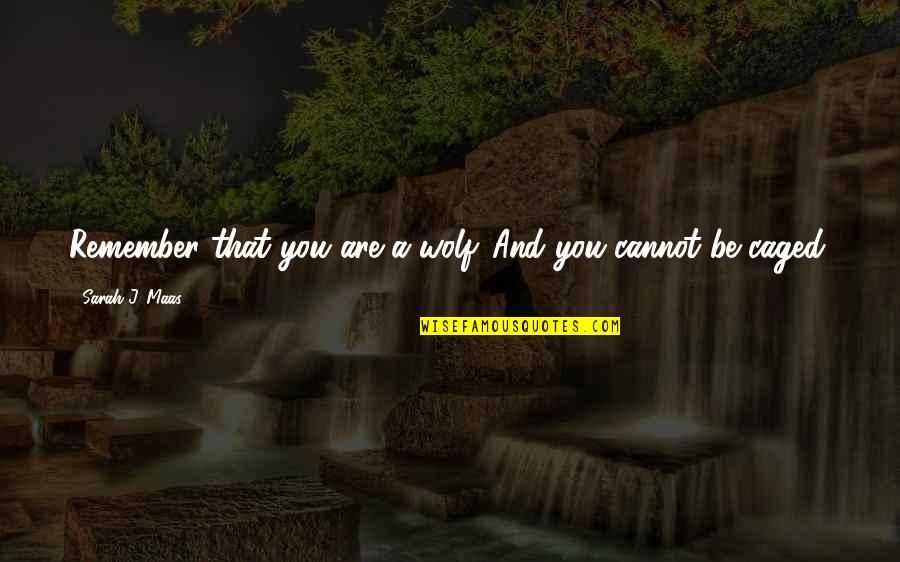 Piensalo Banda Ms Quotes By Sarah J. Maas: Remember that you are a wolf. And you Piensalo Banda Ms Quotes By Sarah J. Maas: Remember that you are a wolf. And you