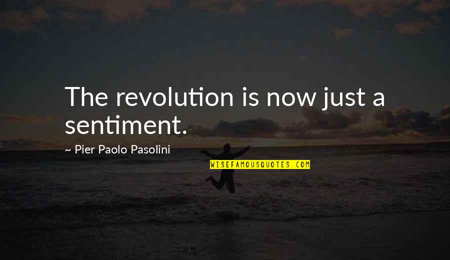 Pier Paolo Pasolini Quotes By Pier Paolo Pasolini: The revolution is now just a sentiment.