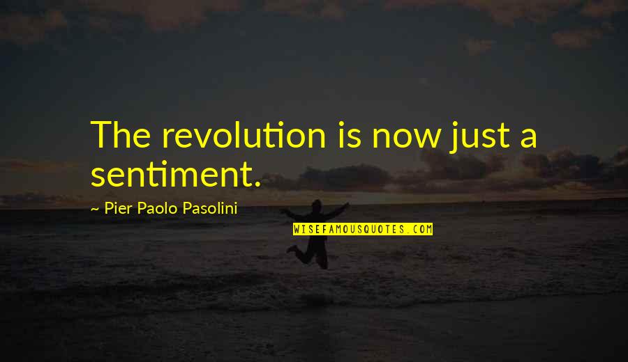 Pier Quotes By Pier Paolo Pasolini: The revolution is now just a sentiment.