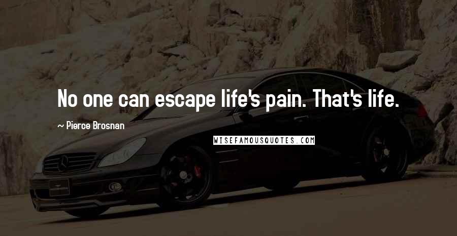 Pierce Brosnan quotes: No one can escape life's pain. That's life.
