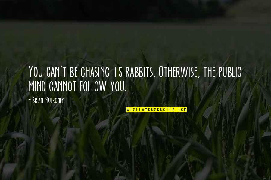 Pierden Argumentos Quotes By Brian Mulroney: You can't be chasing 15 rabbits. Otherwise, the