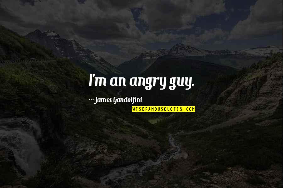 Pierdut Buletin Quotes By James Gandolfini: I'm an angry guy.