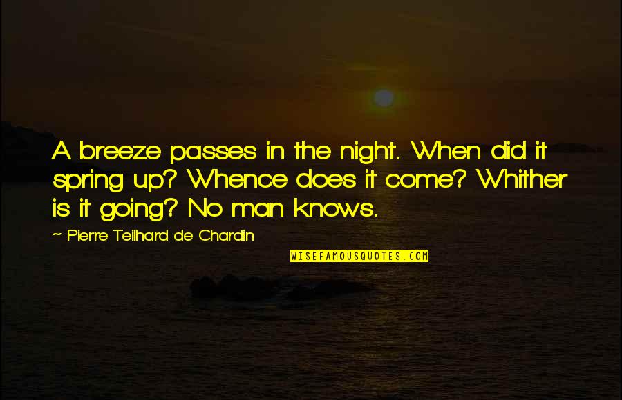 Pierre Chardin Quotes By Pierre Teilhard De Chardin: A breeze passes in the night. When did