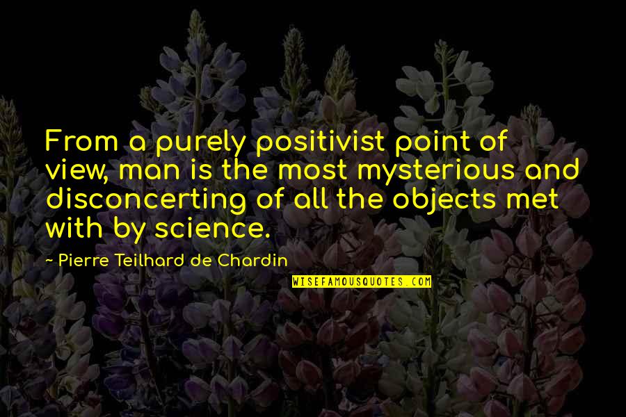 Pierre De Chardin Quotes By Pierre Teilhard De Chardin: From a purely positivist point of view, man Pierre De Chardin Quotes By Pierre Teilhard De Chardin: From a purely positivist point of view, man