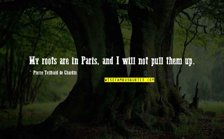 Pierre De Chardin Quotes By Pierre Teilhard De Chardin: My roots are in Paris, and I will Pierre De Chardin Quotes By Pierre Teilhard De Chardin: My roots are in Paris, and I will