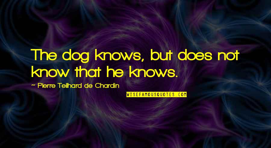 Pierre De Chardin Quotes By Pierre Teilhard De Chardin: The dog knows, but does not know that Pierre De Chardin Quotes By Pierre Teilhard De Chardin: The dog knows, but does not know that