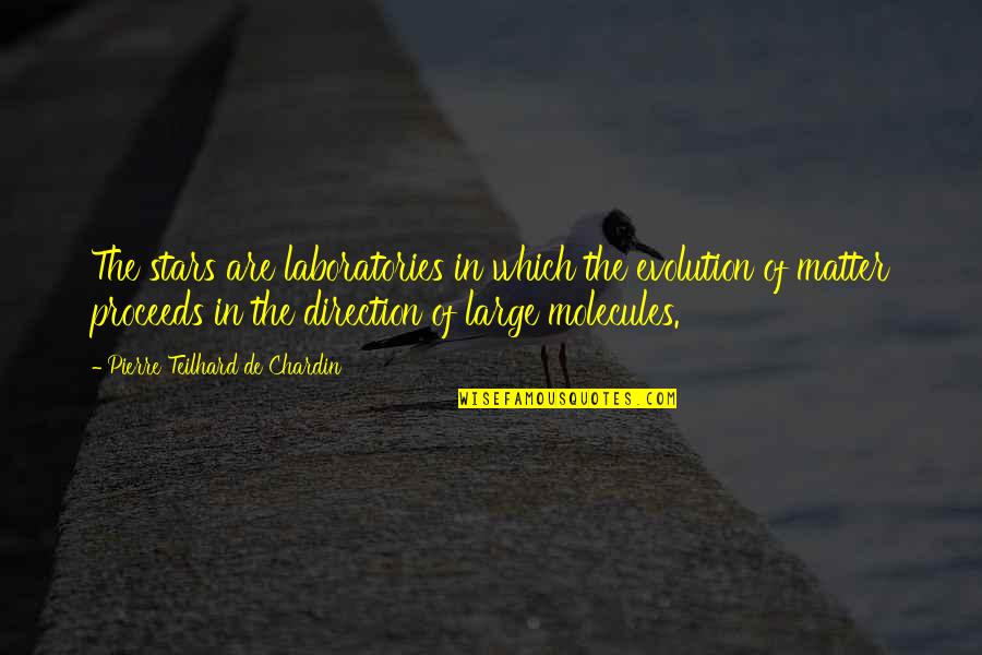 Pierre De Chardin Quotes By Pierre Teilhard De Chardin: The stars are laboratories in which the evolution Pierre De Chardin Quotes By Pierre Teilhard De Chardin: The stars are laboratories in which the evolution