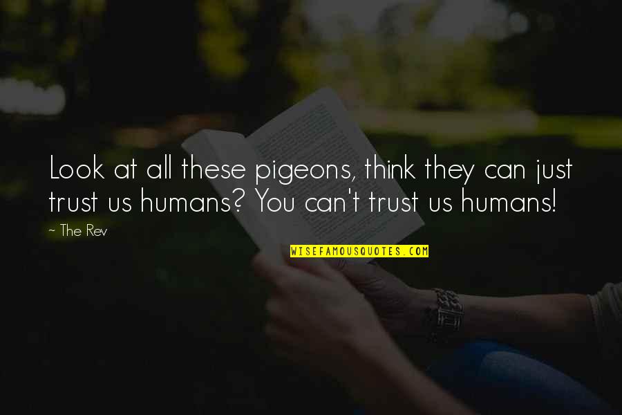Pierre Louis Auvray Quotes By The Rev: Look at all these pigeons, think they can Pierre Louis Auvray Quotes By The Rev: Look at all these pigeons, think they can