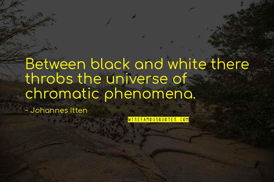 Pierre Nanterme Quotes By Johannes Itten: Between black and white there throbs the universe