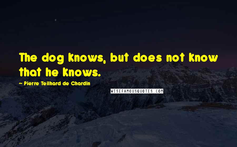 Pierre Teilhard De Chardin quotes: The dog knows, but does not know that he knows.