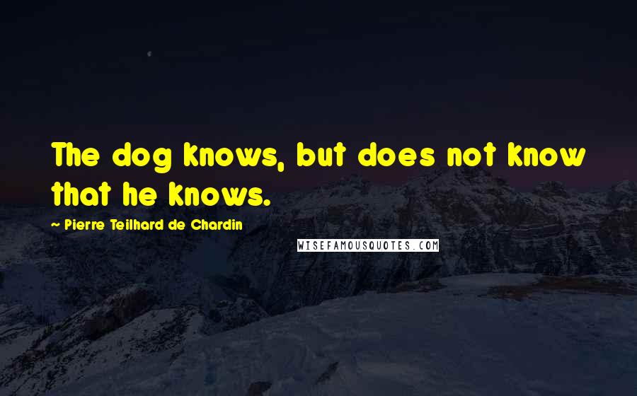 Pierre Teilhard De Chardin quotes: The dog knows, but does not know that he knows.