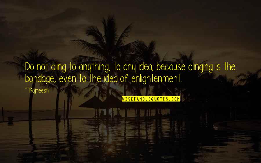 Pierrehumbert Radiative Transfer Quotes By Rajneesh: Do not cling to anything, to any idea;