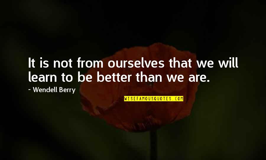 Piersten Gaines Quotes By Wendell Berry: It is not from ourselves that we will