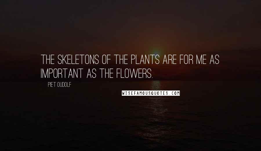 Piet Oudolf quotes: The skeletons of the plants are for me as important as the flowers.