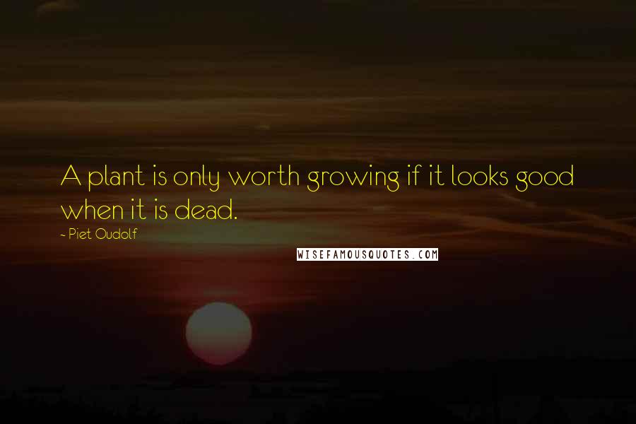 Piet Oudolf quotes: A plant is only worth growing if it looks good when it is dead.