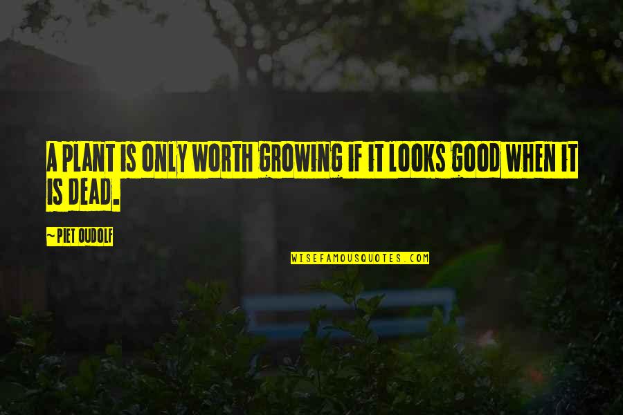 Piet Quotes By Piet Oudolf: A plant is only worth growing if it