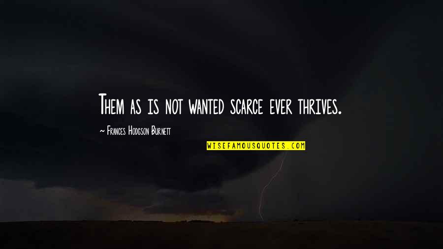Pieter Schoen Quotes By Frances Hodgson Burnett: Them as is not wanted scarce ever thrives. Pieter Schoen Quotes By Frances Hodgson Burnett: Them as is not wanted scarce ever thrives.
