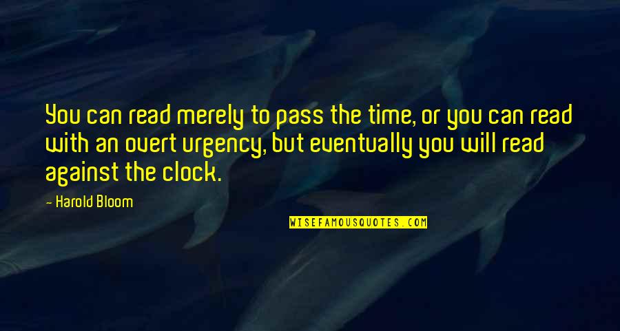 Pietersite Quotes By Harold Bloom: You can read merely to pass the time,