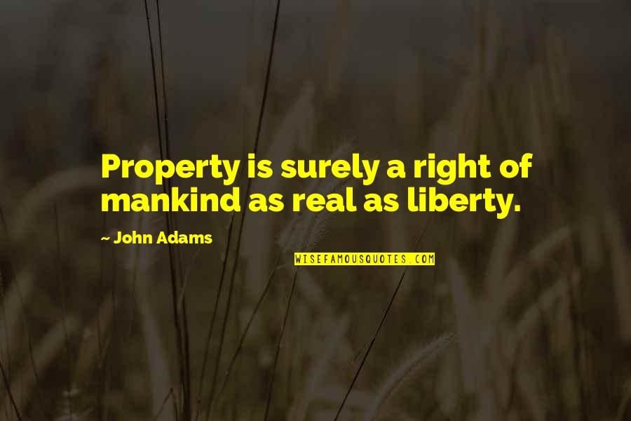 Pieterzoon Quotes By John Adams: Property is surely a right of mankind as