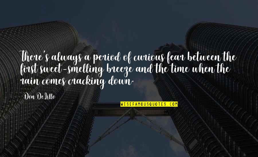 Pietists Means Quotes By Don DeLillo: There's always a period of curious fear between