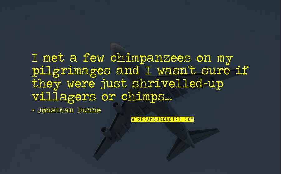 Pietrangelo Injury Quotes By Jonathan Dunne: I met a few chimpanzees on my pilgrimages