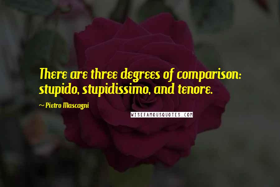 Pietro Mascagni quotes: There are three degrees of comparison: stupido, stupidissimo, and tenore.