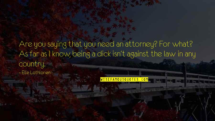 Pifano Imagenes Quotes By Elle Lothlorien: Are you saying that you need an attorney? Pifano Imagenes Quotes By Elle Lothlorien: Are you saying that you need an attorney?