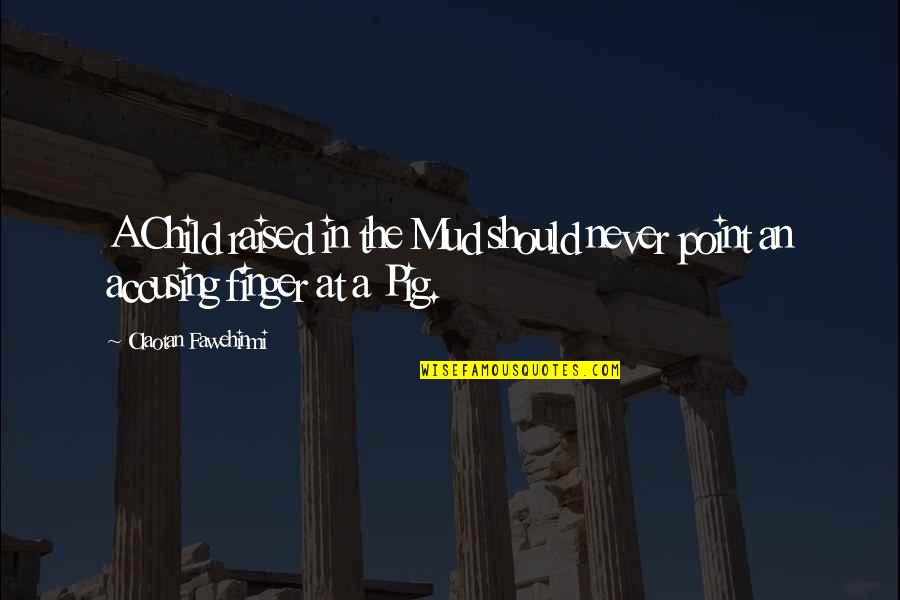 Pig In The Mud Quotes By Olaotan Fawehinmi: A Child raised in the Mud should never