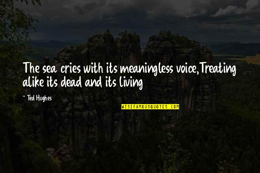 Piggledy Treehouse Quotes By Ted Hughes: The sea cries with its meaningless voice,Treating alike