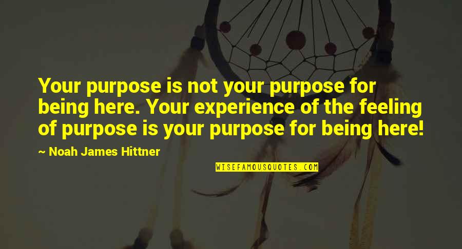 Pigman Novel Quotes By Noah James Hittner: Your purpose is not your purpose for being