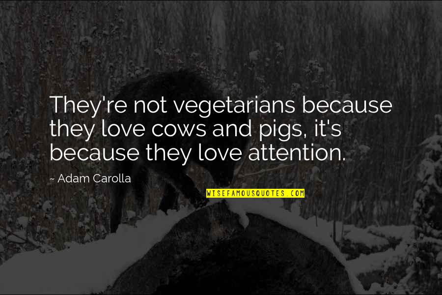 Pigs Quotes By Adam Carolla: They're not vegetarians because they love cows and Pigs Quotes By Adam Carolla: They're not vegetarians because they love cows and
