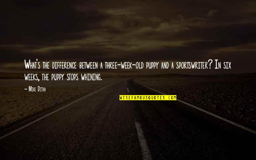 Pigskin Prep Quotes By Mike Ditka: What's the difference between a three-week-old puppy and Pigskin Prep Quotes By Mike Ditka: What's the difference between a three-week-old puppy and
