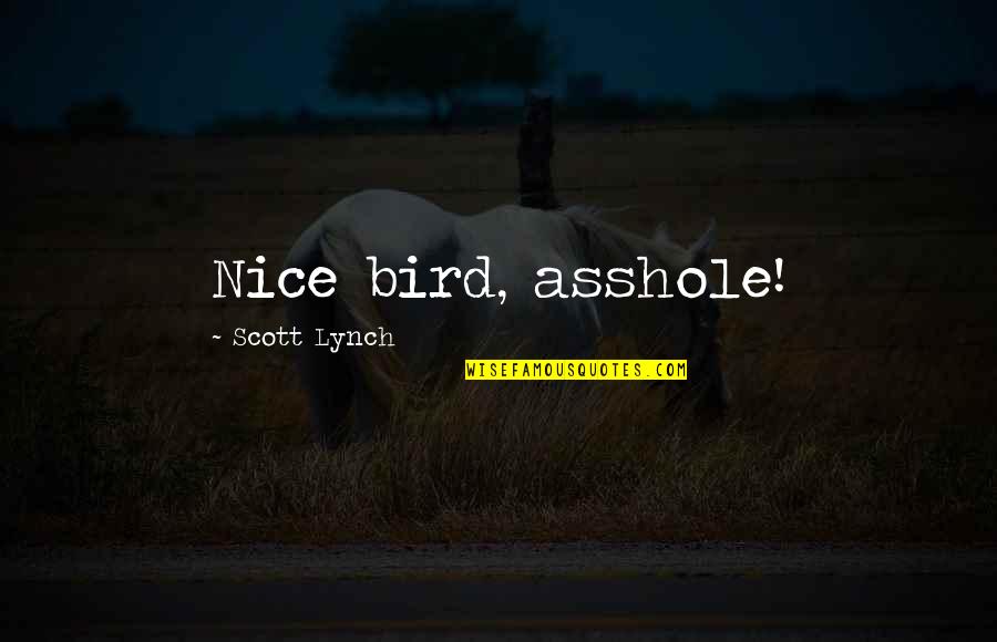 Pijuan Family Quotes By Scott Lynch: Nice bird, asshole! Pijuan Family Quotes By Scott Lynch: Nice bird, asshole!