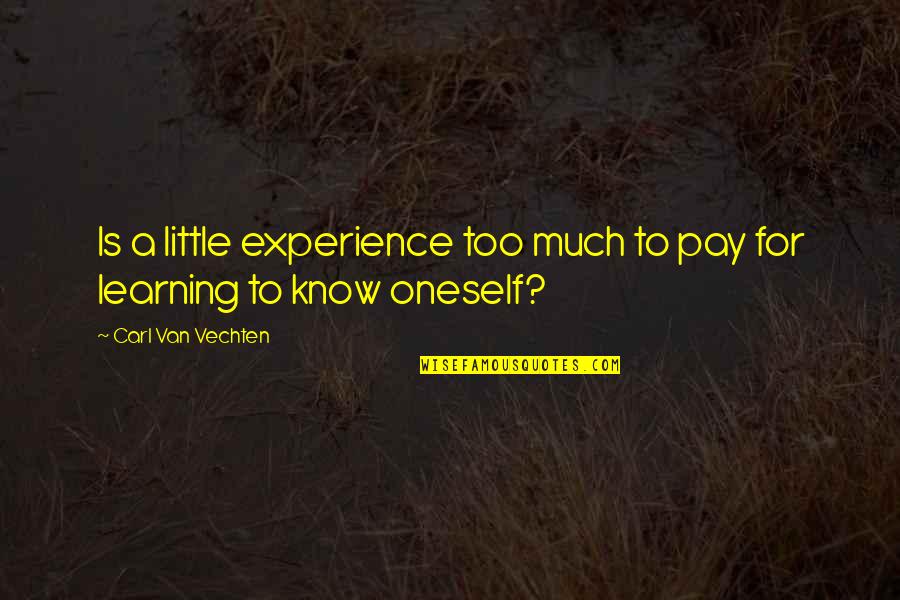 Pikalaina Quotes By Carl Van Vechten: Is a little experience too much to pay Pikalaina Quotes By Carl Van Vechten: Is a little experience too much to pay
